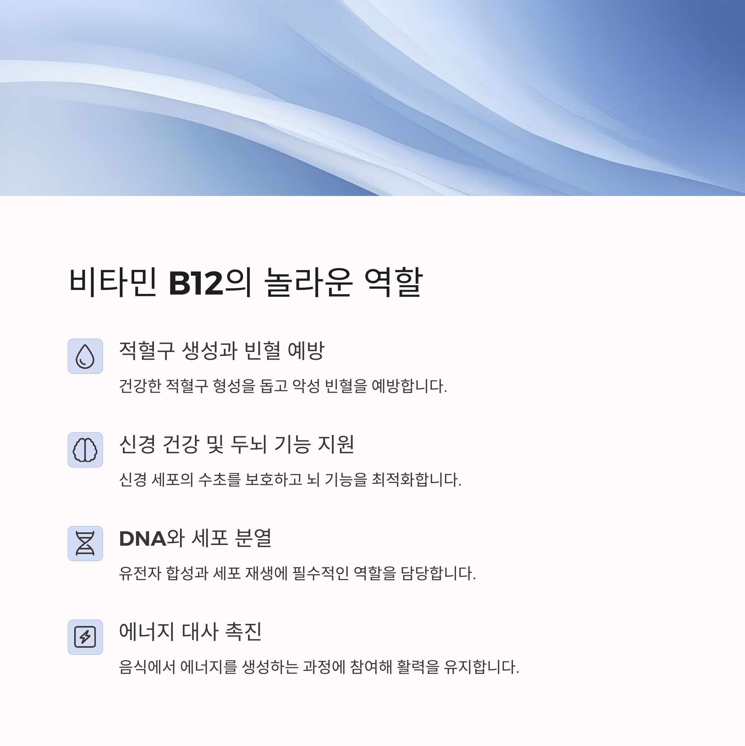 몸에 꼭 필요한 비타민 B군(B6, B12, 엽산) 에너지와 뇌 기능