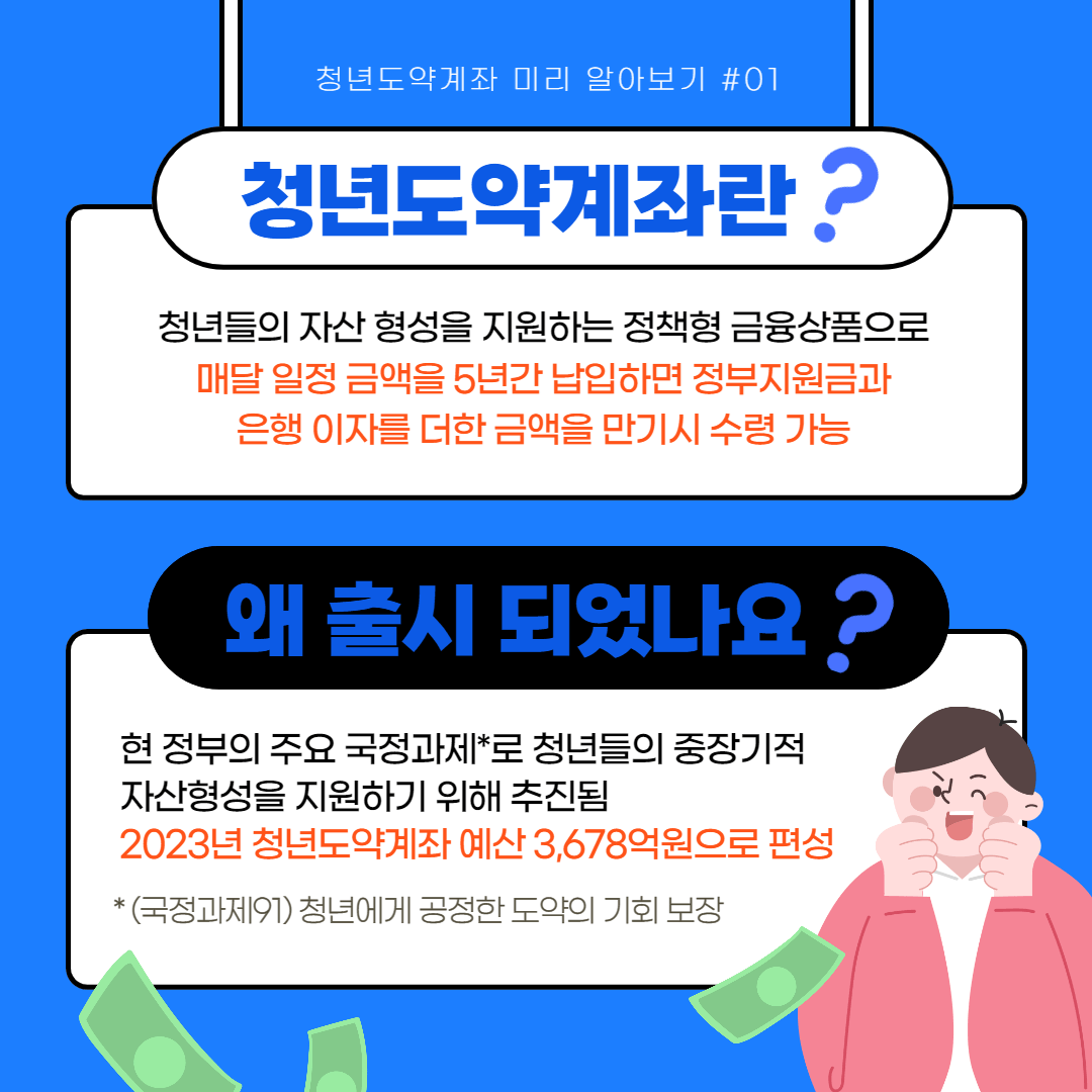 청년도약계좌 출시 이유