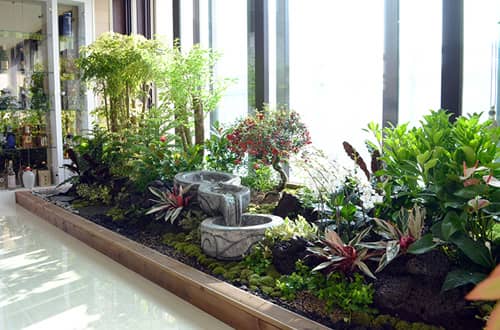 🌿 작은 공간에서 시작하는 나만의 정원 꾸미기! 🌸