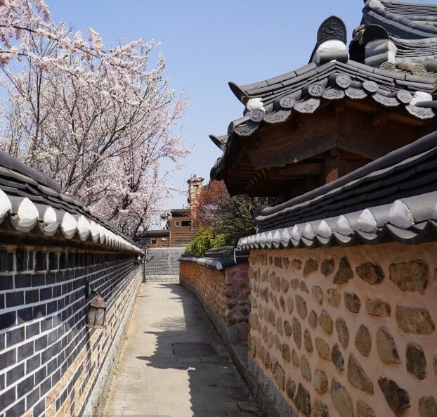 전주 한옥마을 여행 완벽 가이드: 감성과 전통의 공존/ 전주 한옥마을 입장료&amp;#44; 운영시간&amp;#44; 주차 정보 등