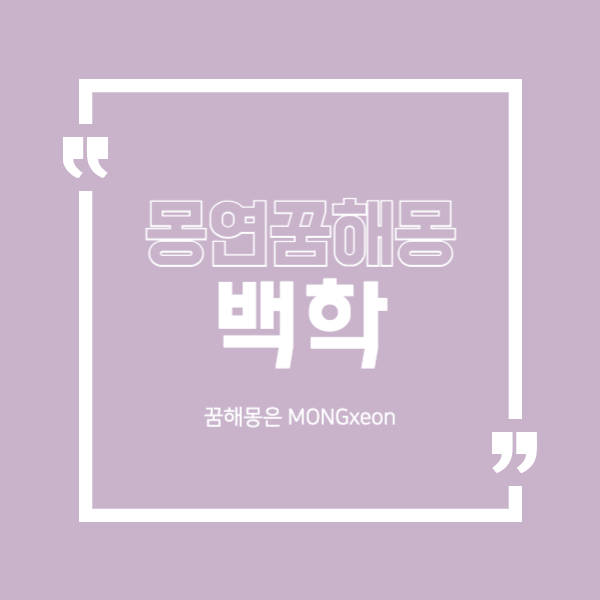 백학 꿈 해몽의 19가지 의미