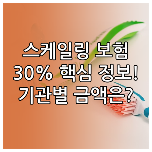 스케일링 보험 혜택 30% 본인부담률..