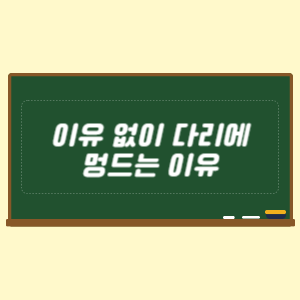 이유 없이 다리에 멍드는 이유