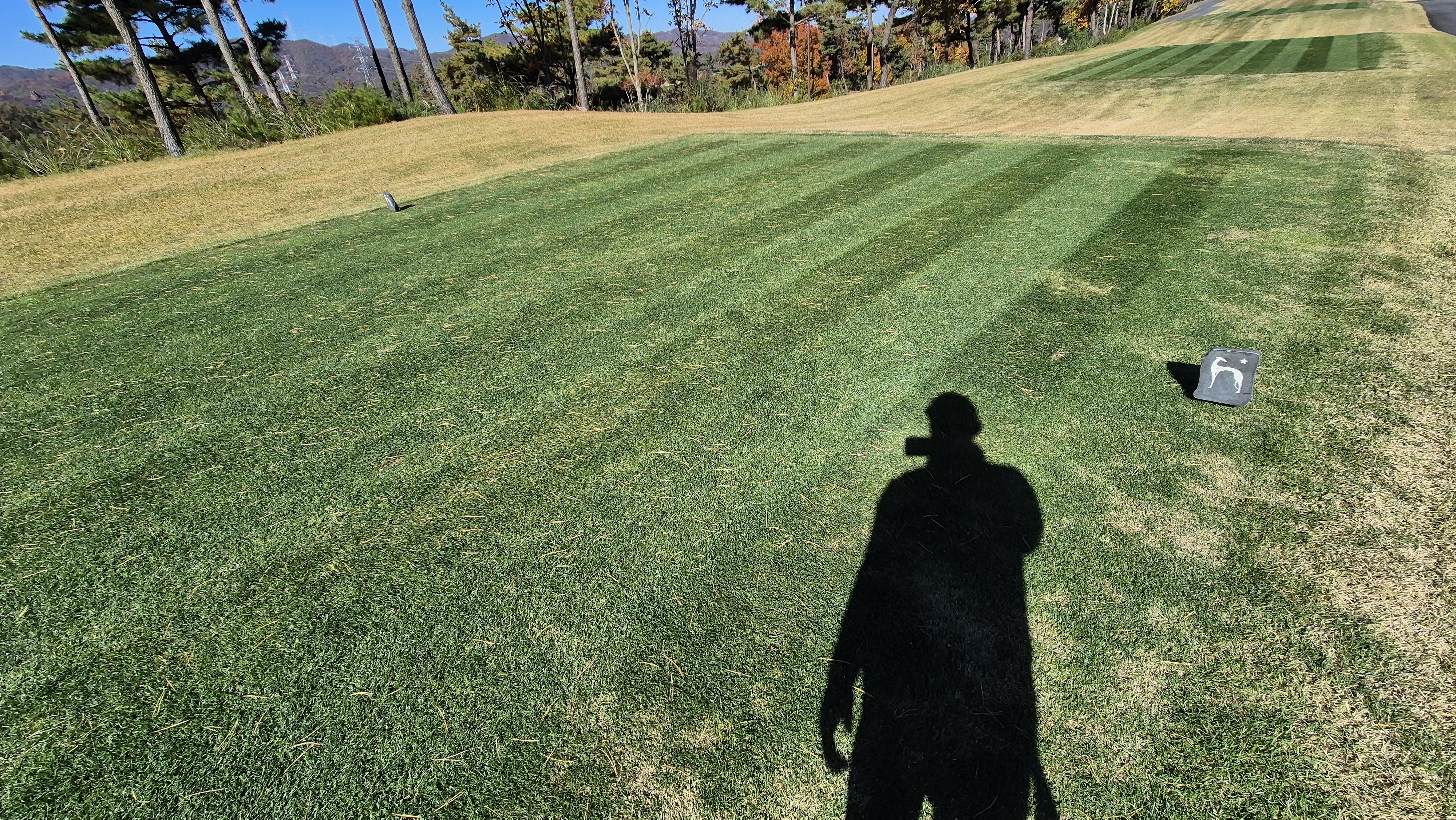 레이캐슬cc 티잉구역 상태