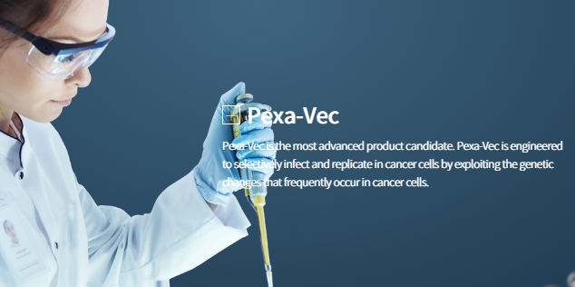 신라젠 주가 현황과 주가 전망: 임상과 인수 이슈로 보는 투자 포인트