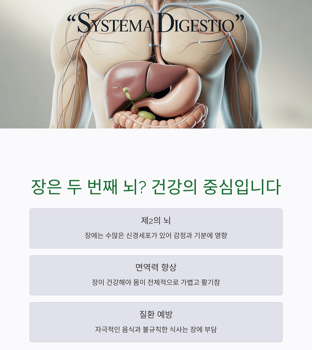 속 편한 하루를 위한 선택, 장 건강 지키는 식습관