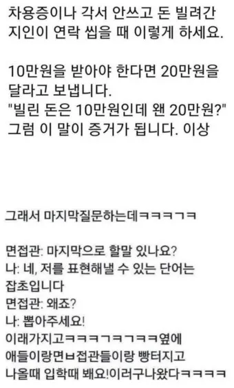 웃기는 유머 재밌는 유머 모음 웃기는 사진 10선_3