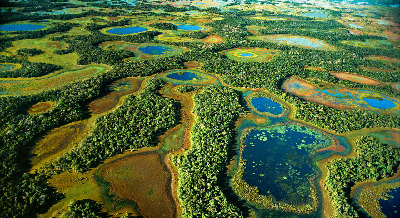 판탈 (Pantanal)