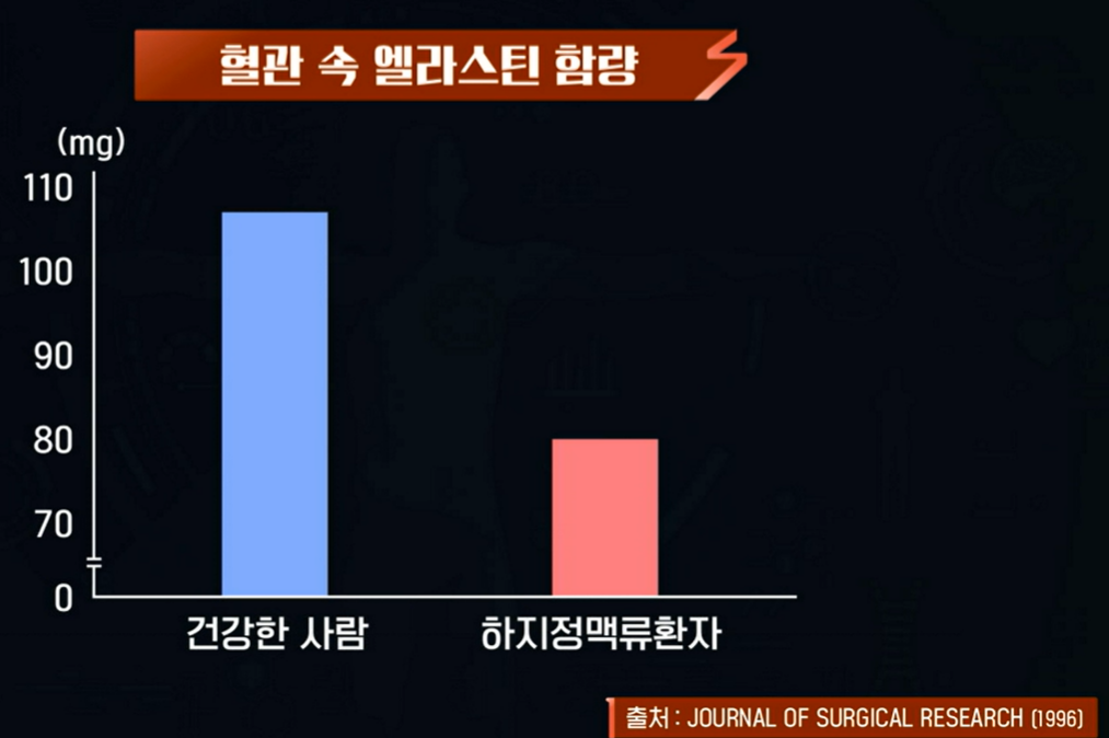 콜라겐과 엘라스틴이 중요한 이유