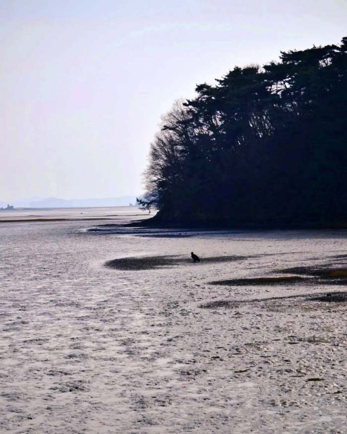 생생정보 조회 수 75만 뷰 은퇴 부부의 해루질 낮루질 촬영 도전기 영상