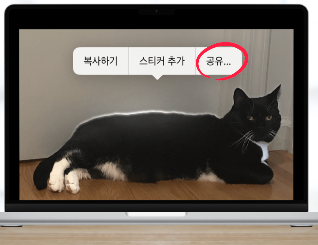 공유하기