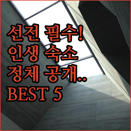 중국 선전 여행 실패 없는 인생 숙소..