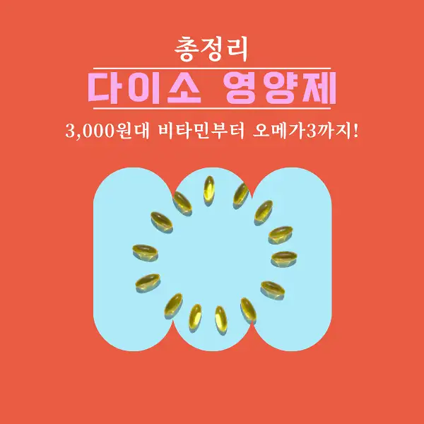 다이소 영양제