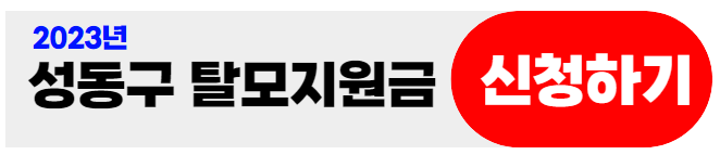 성동구탈모지원금