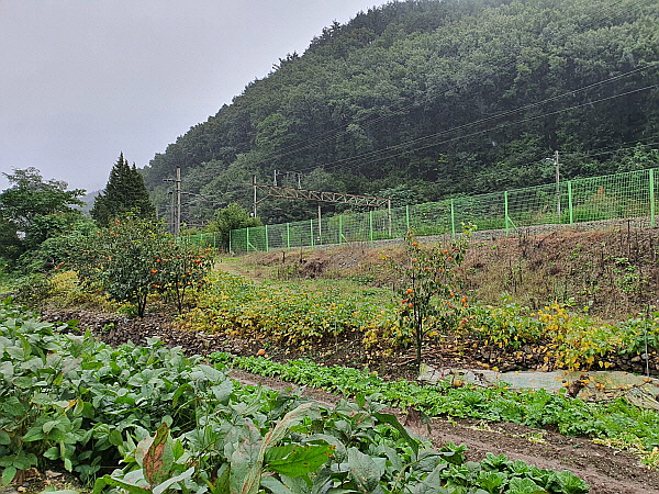 강원도 삼척시 신기면 마차리 기차역 마차리역