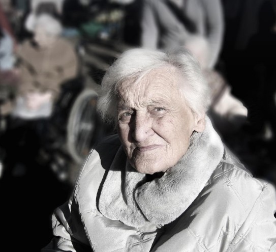 노인 범죄 변호사 상담 전략 선택법 관련 사진