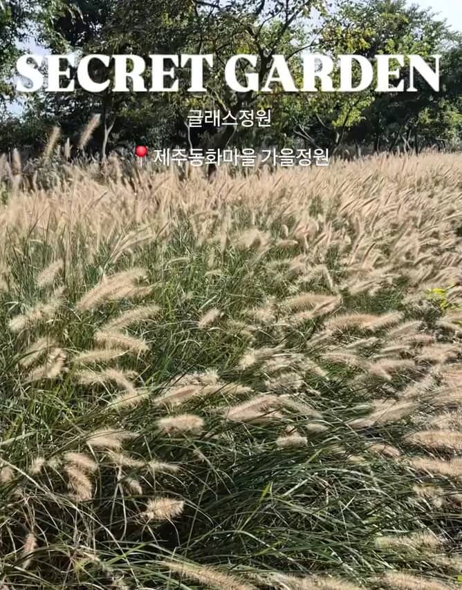 제주동화마을 가는 방법 &ndash; 아이와 함께 떠나는 4계절 힐링 여행