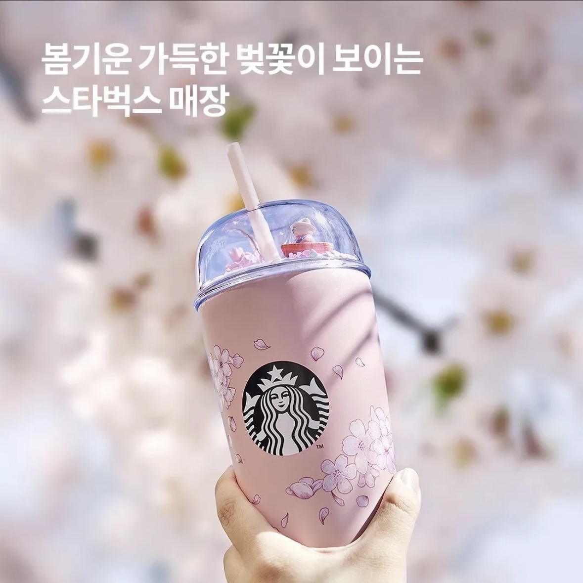 동학사 벚꽃 축제 일정