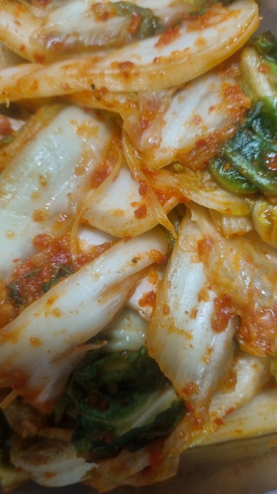 김장김치 소금물 유지 