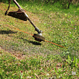 벌초 대행 서비스 사진5