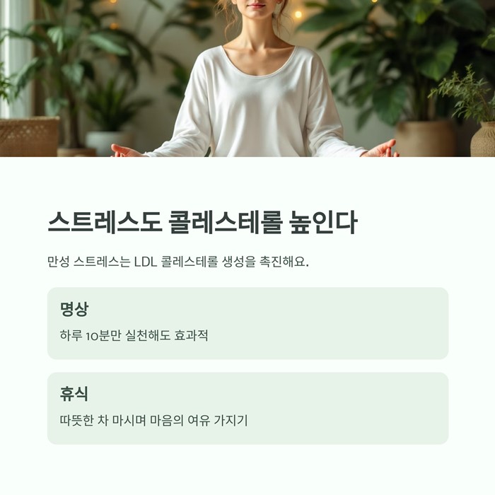 콜레스테롤 낮추는 가장 효과적인 방법 7가지 요약 이미지
