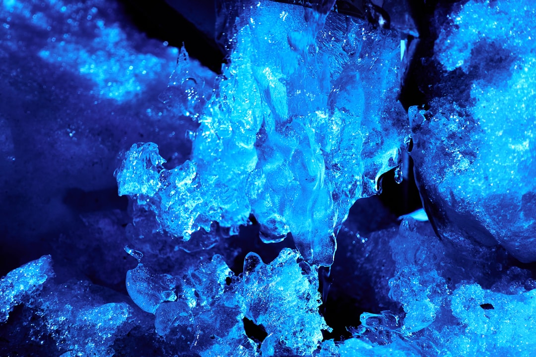 Blue carbon