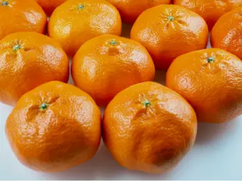 제주 귤 10kg 가격&amp;#44; 효능과 영양성분