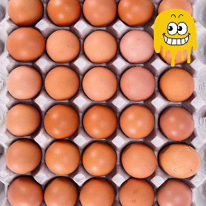 뱃살 빼는 최고의 음식