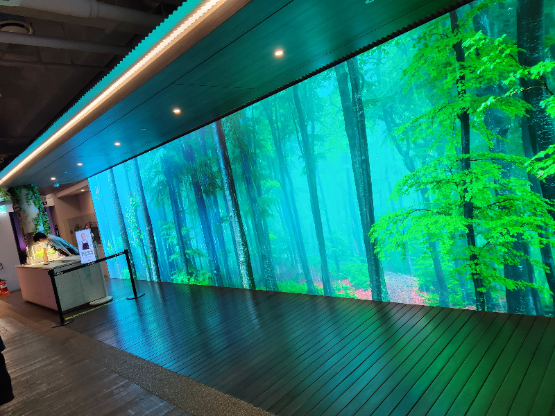 스타벅스 경동 1960점 금성전파사