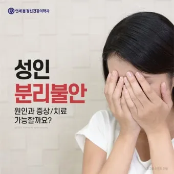 강아지 분리불안 진정 노즈워크 퍼즐 장난감 활용법_8