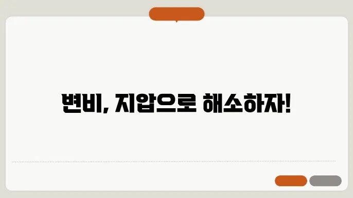 비장 경혈