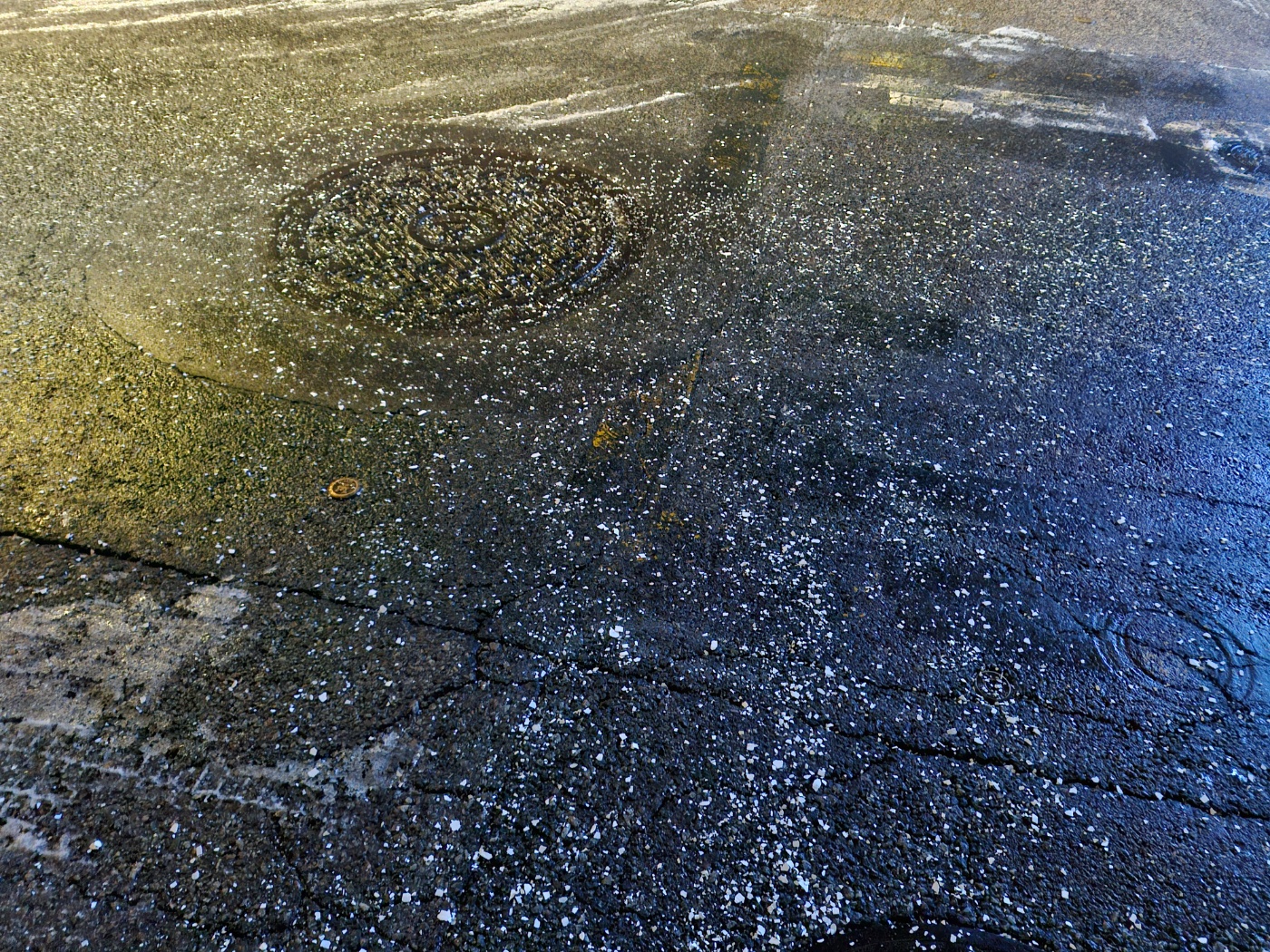 초보 반려인들을 위한 제설제 안전수칙