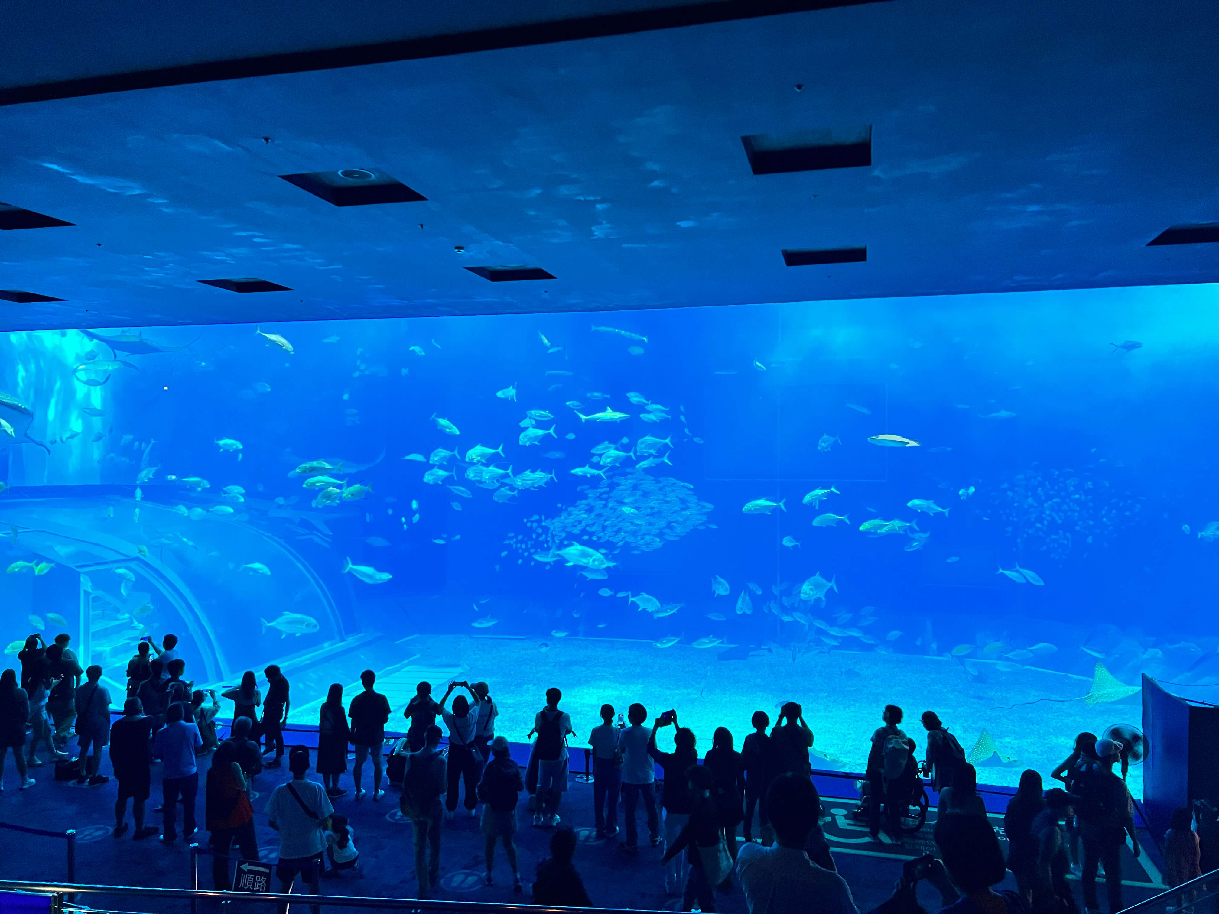 오키나와 1월 날씨