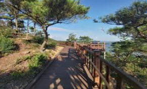 장봉도 운항요금