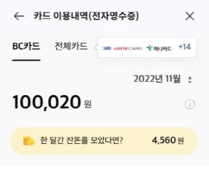 IBK기업카드-11월-사용내역