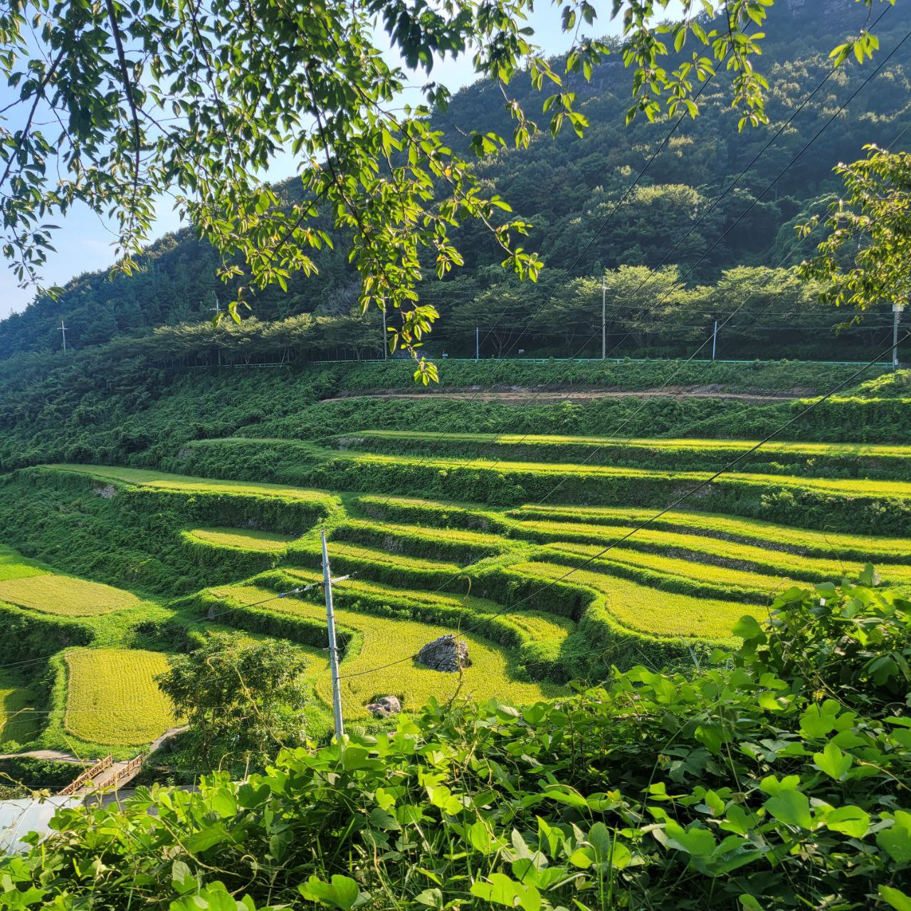 다랭이 마을 풍경 사진