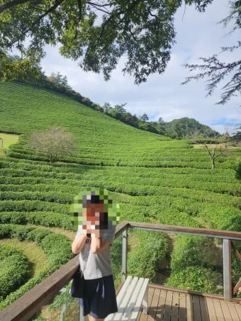 보성 녹차밭 대한다원 입장료 주차 코스 정보 총정리_19