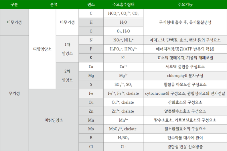 필수양분