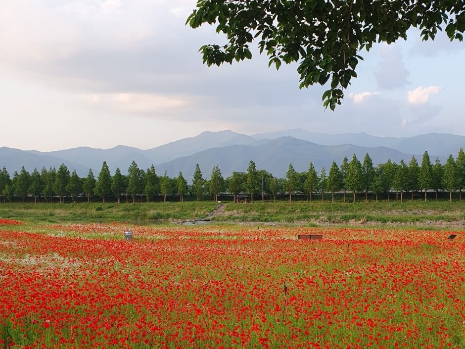 구례 가볼만한곳 베스트 10