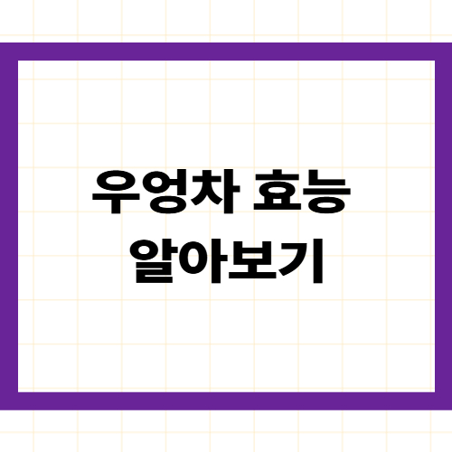 우엉차 효능과 부작용 —
천연 인슐린 이눌린·사포닌·리그닌
'땅속의 보약' 집에서 만드는 법까지