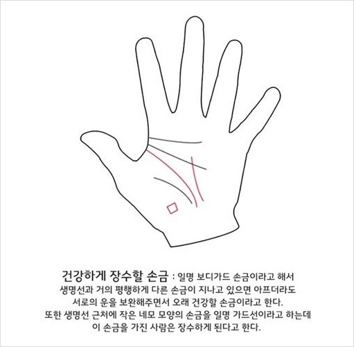 재미로 해보는 결혼점,손금 풀이 jpg,결혼하는 손금,이상형 성격 테스트 및 재미있는 테스트