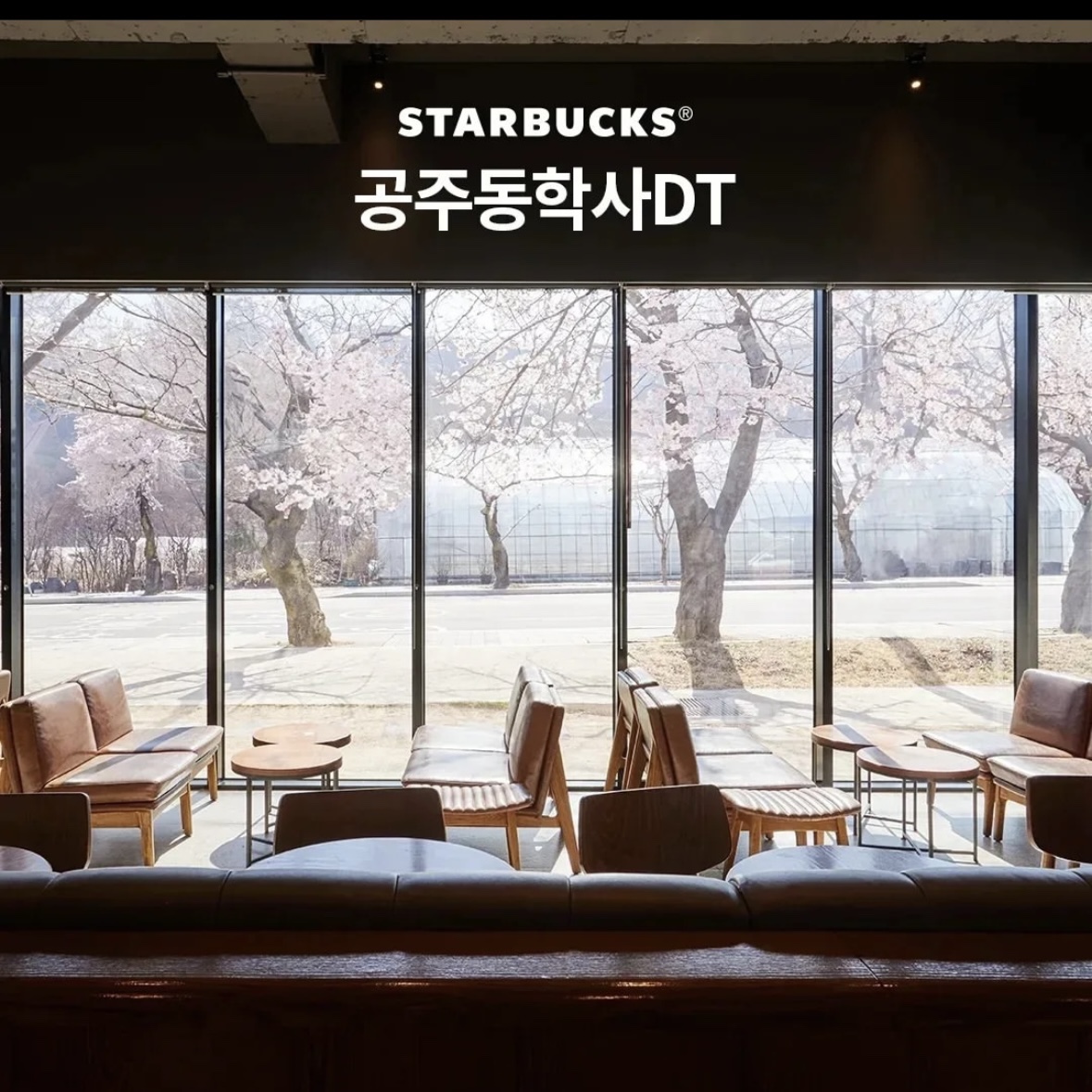 동학사 벚꽃 축제 일정