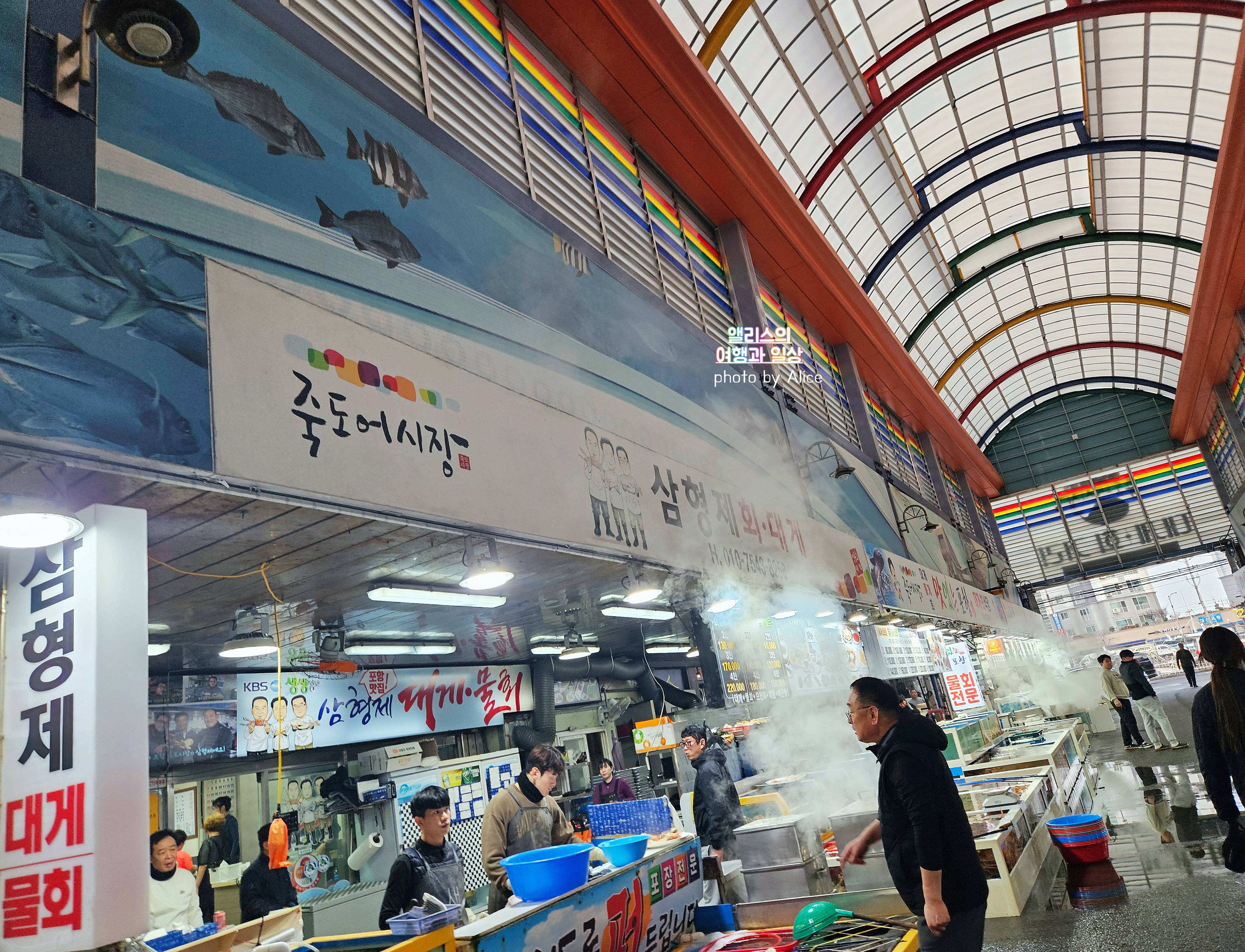 포항 죽도시장 물회 삼형제횟집 내돈내산 솔직 후기 (위치 주차장 정보)
