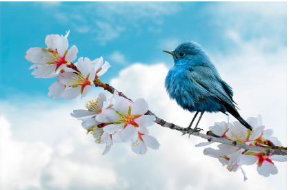 청년 월세지원 제도 총정리: 신청방법부터 금액, 후기, Q&A까지