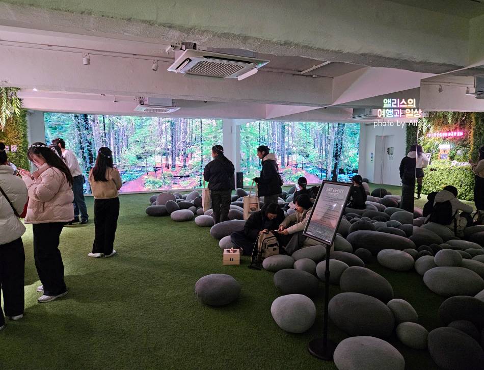 명동 미샤 팝업 스토어 후기 무료 앰플 3종 강화섬 개똥쑥 팝업스토어