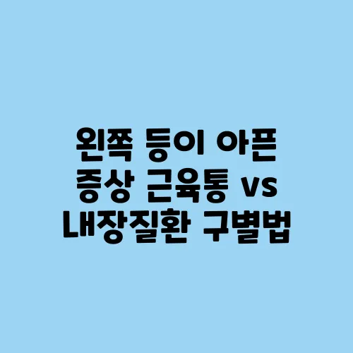왼쪽 등이 아픈 증상 근육통 vs 내장질환 구별법