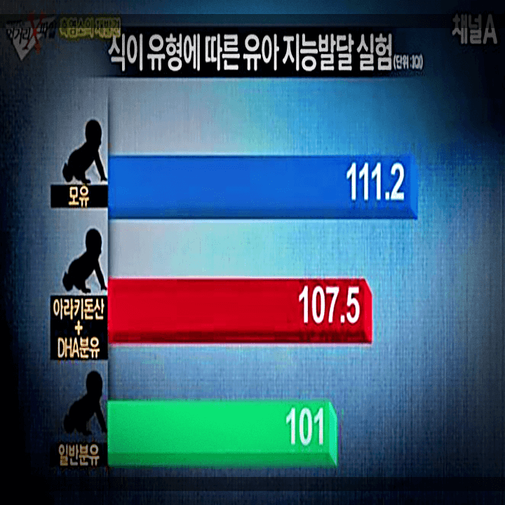 흑염소-식이-유형-유아-지능발달-실험