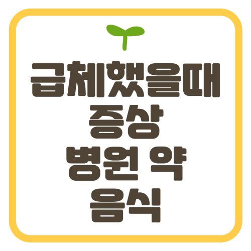 급체했을 때 증상 병원 약 음식