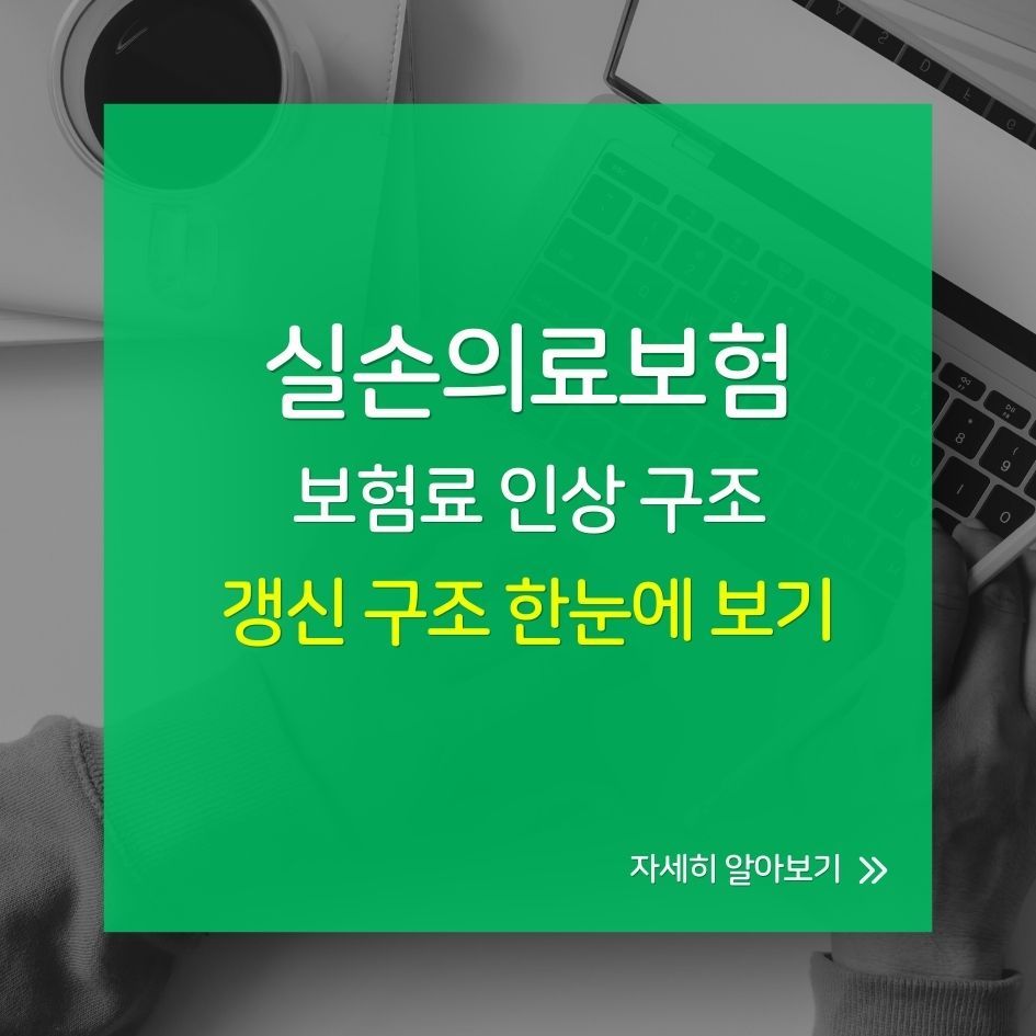 실손보험 갱신 구조 한눈에 보기