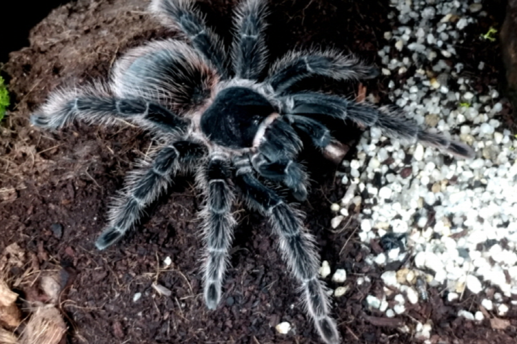 부천 자연생태공원